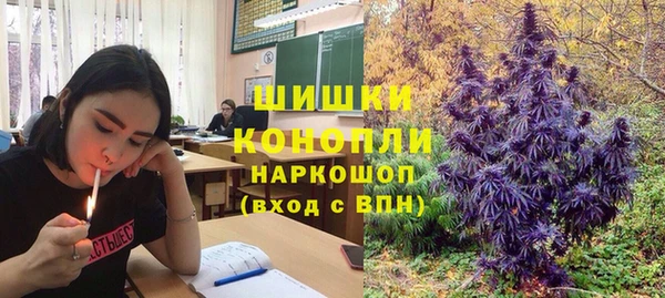 винт Верея