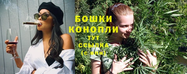 винт Верея