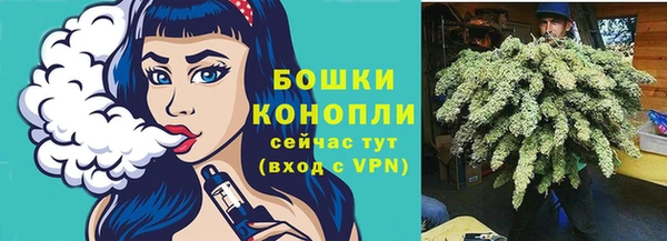 винт Верея