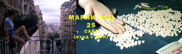 винт Верея