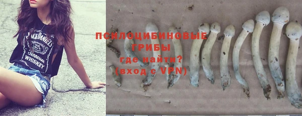 прущие грибы Верхнеуральск