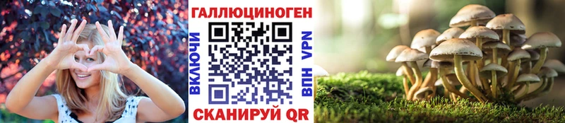 Галлюциногенные грибы Psilocybine cubensis блэк спрут tor Воркута наркотики